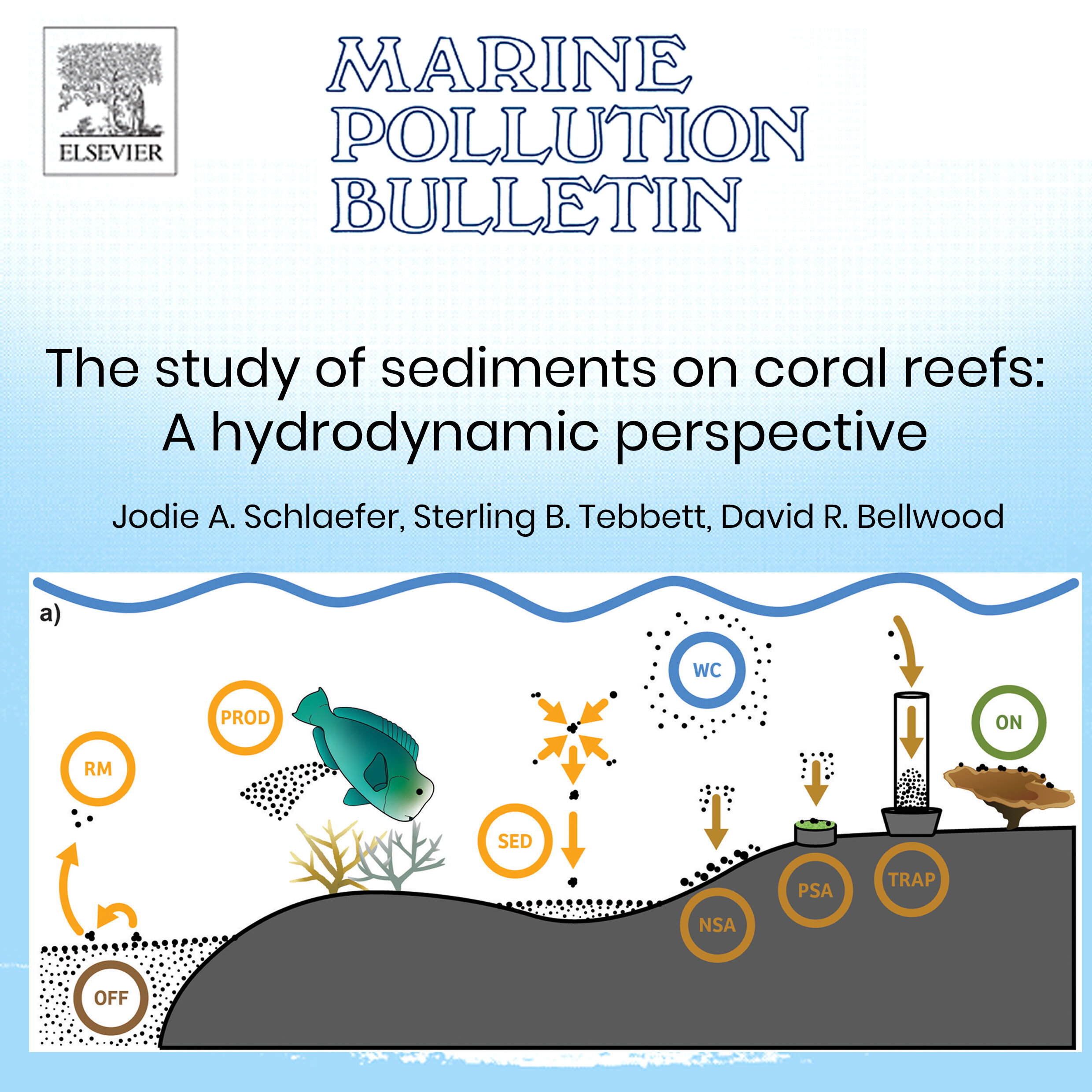 The study of sediments on coral reefs: A hydrodynamic perspective